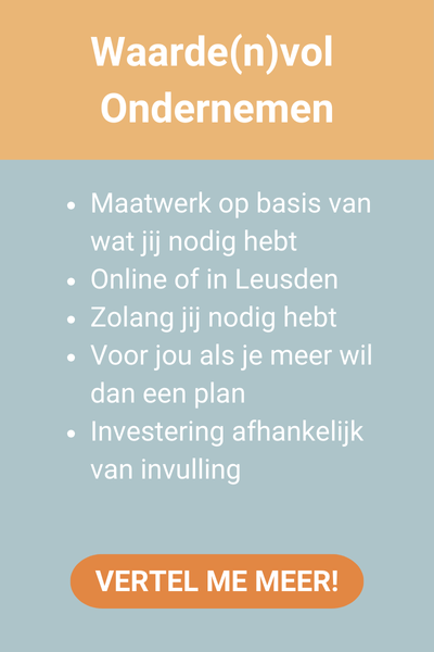 Waardenvol Ondernemen - maatwerk traject