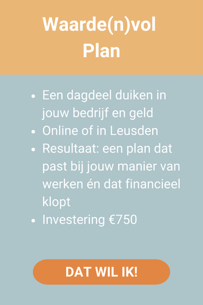 Een dagdeel werken aan jouw bedrijf met als resultaat een plan dat bij jou past en dat financieel klopt