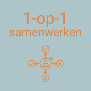 1-op-1 samenwerken